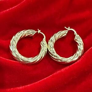 Elegant Gold Hoop Earrings